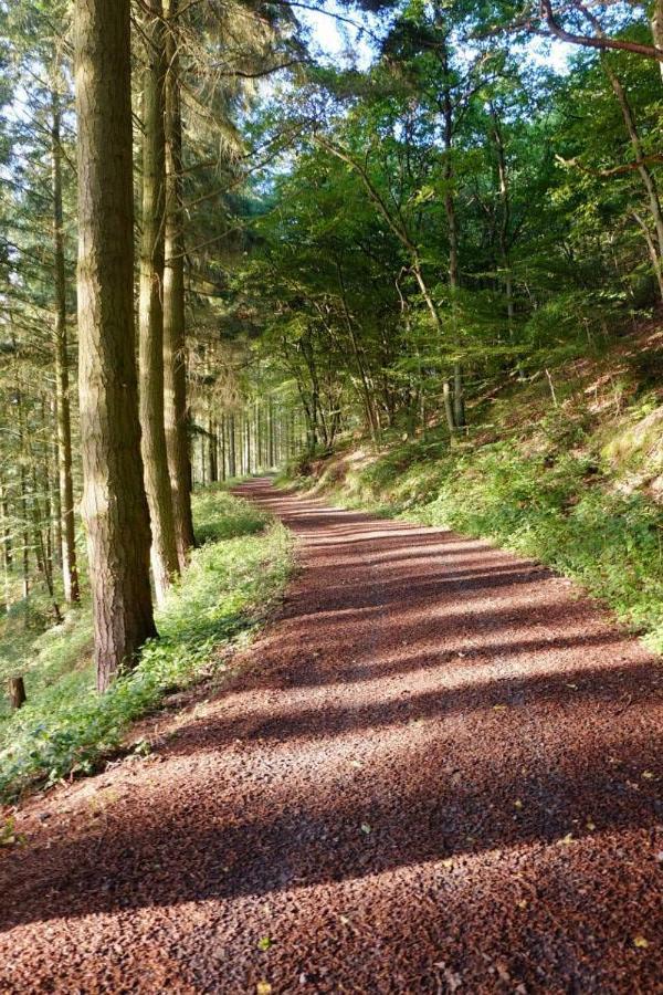 Ferienwohnungen Naheliebe Im Hunsrueck & Naheland Bärenbach Exterior foto